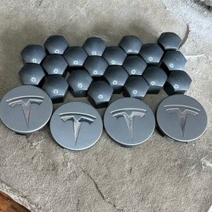 Tesla Silver - 4 Hub Center Caps +20 Lug Nut Covers